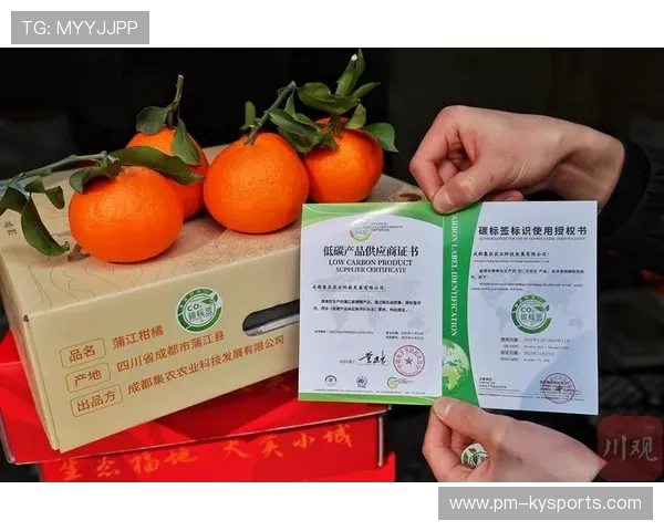 国际羽毛球联合会推行低碳赛事安排减少赛事碳足迹，低碳公园羽毛球收费